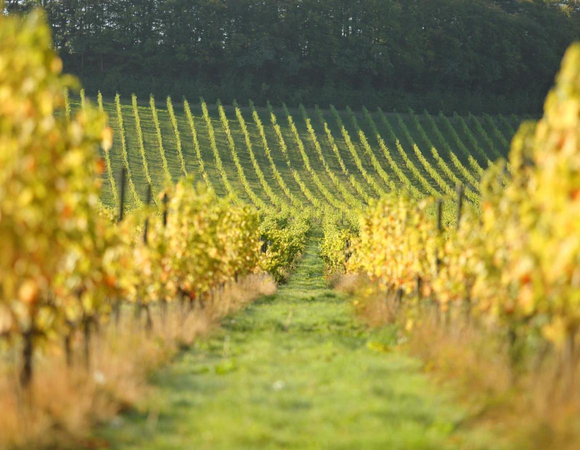 Denbies Vineyard Hotel Dorking Eksteriør bilde