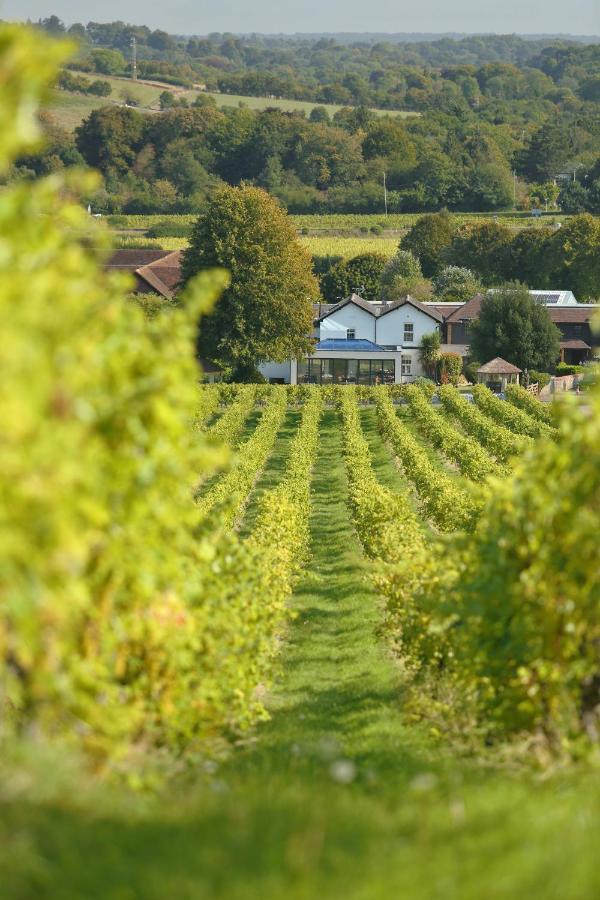 Denbies Vineyard Hotel Dorking Eksteriør bilde