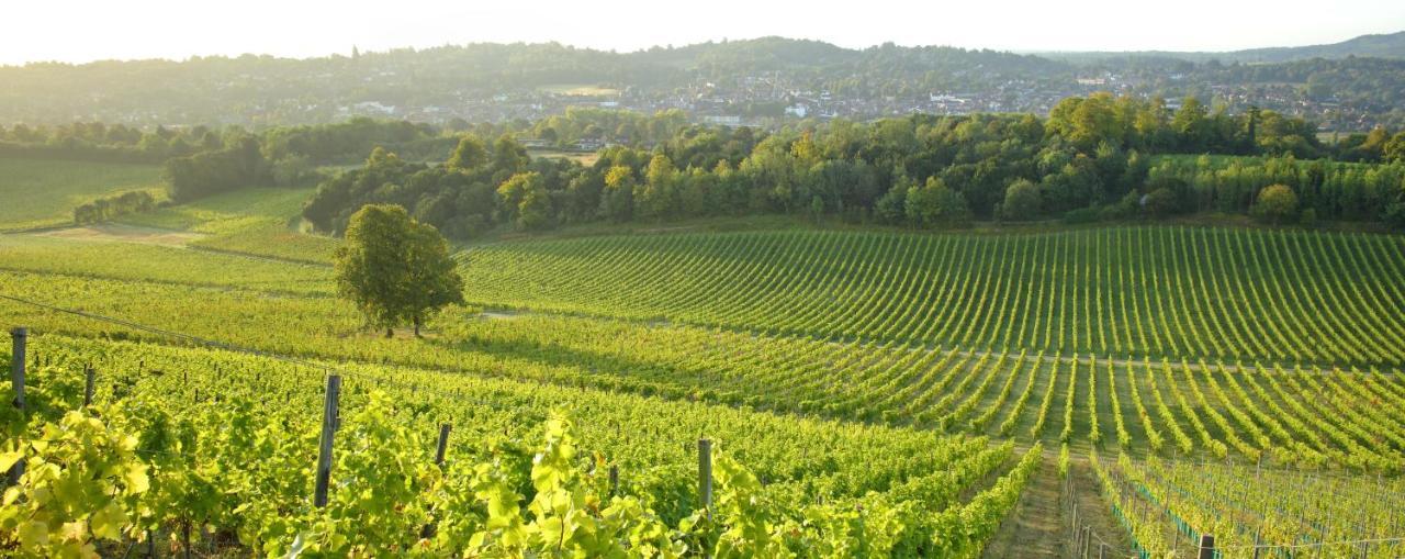 Denbies Vineyard Hotel Dorking Eksteriør bilde