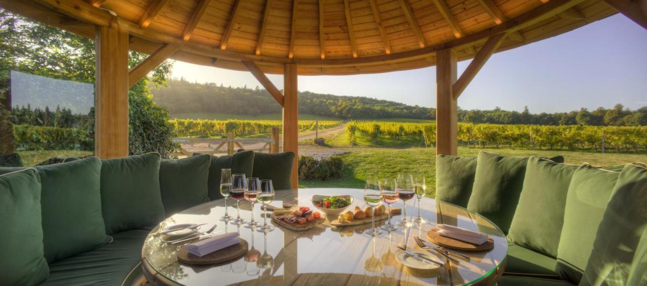 Denbies Vineyard Hotel Dorking Eksteriør bilde