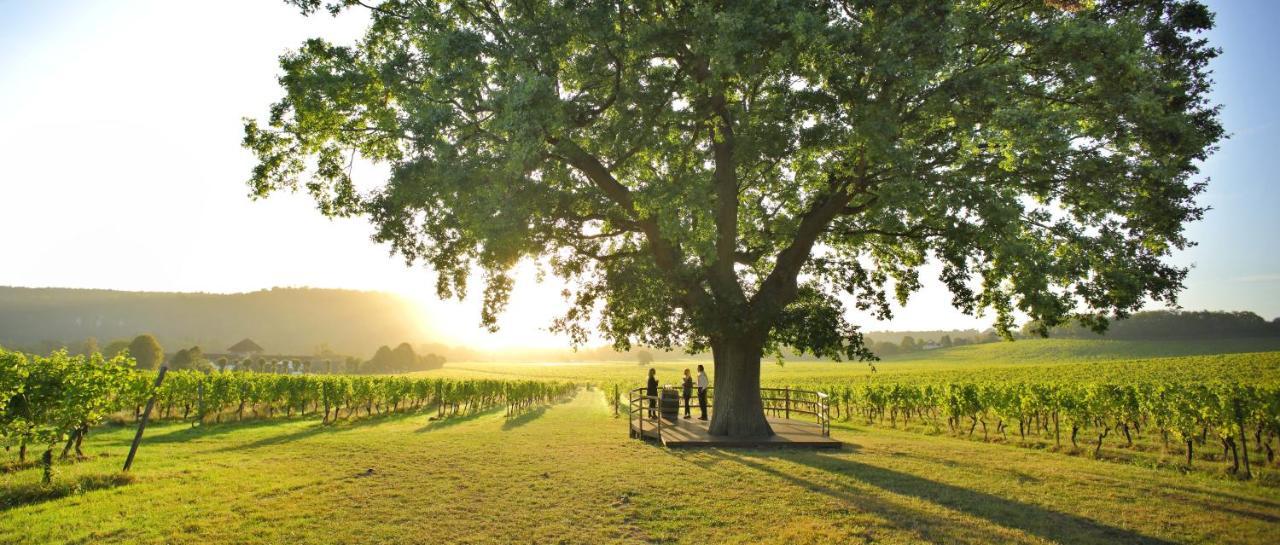 Denbies Vineyard Hotel Dorking Eksteriør bilde