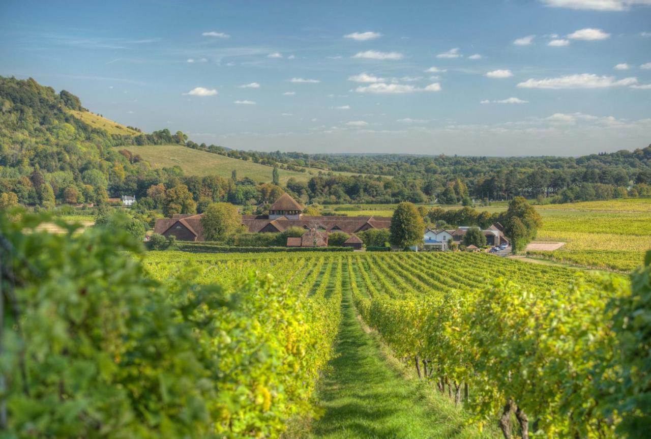 Denbies Vineyard Hotel Dorking Eksteriør bilde